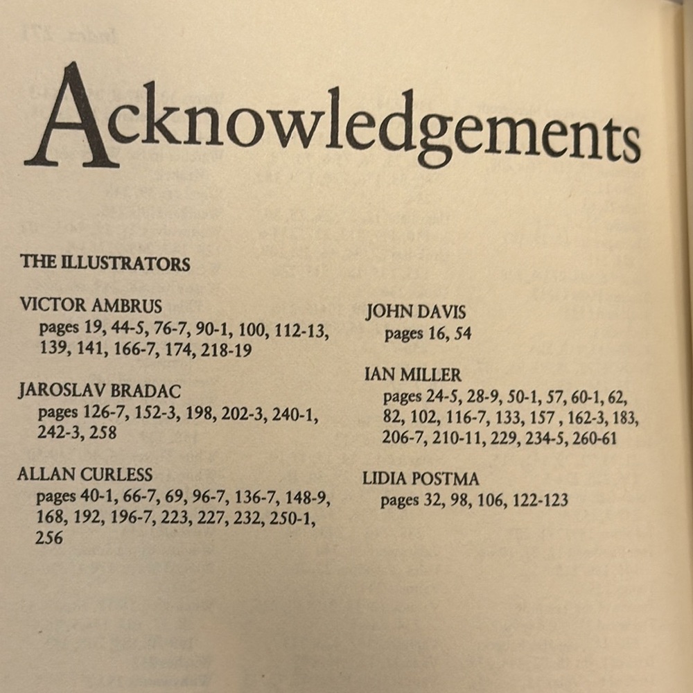 Tolkien “A Dictionary” by David Day. Leather bound. - Picture 6 of 6
